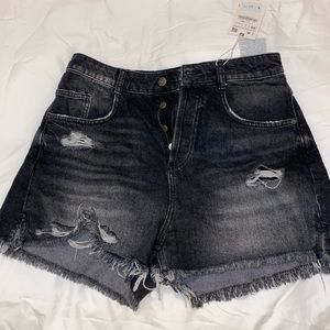 Zara Shorts